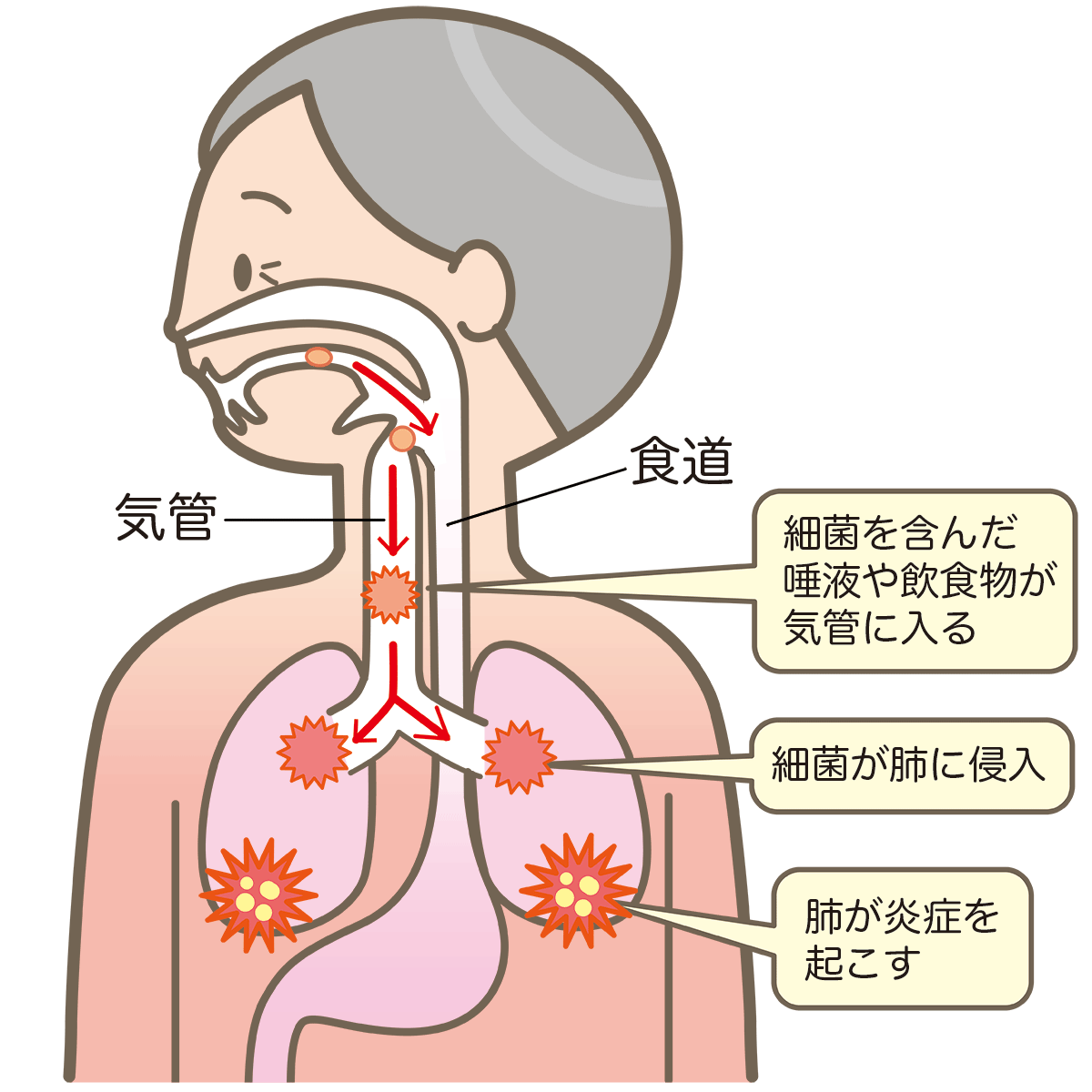 小児歯科