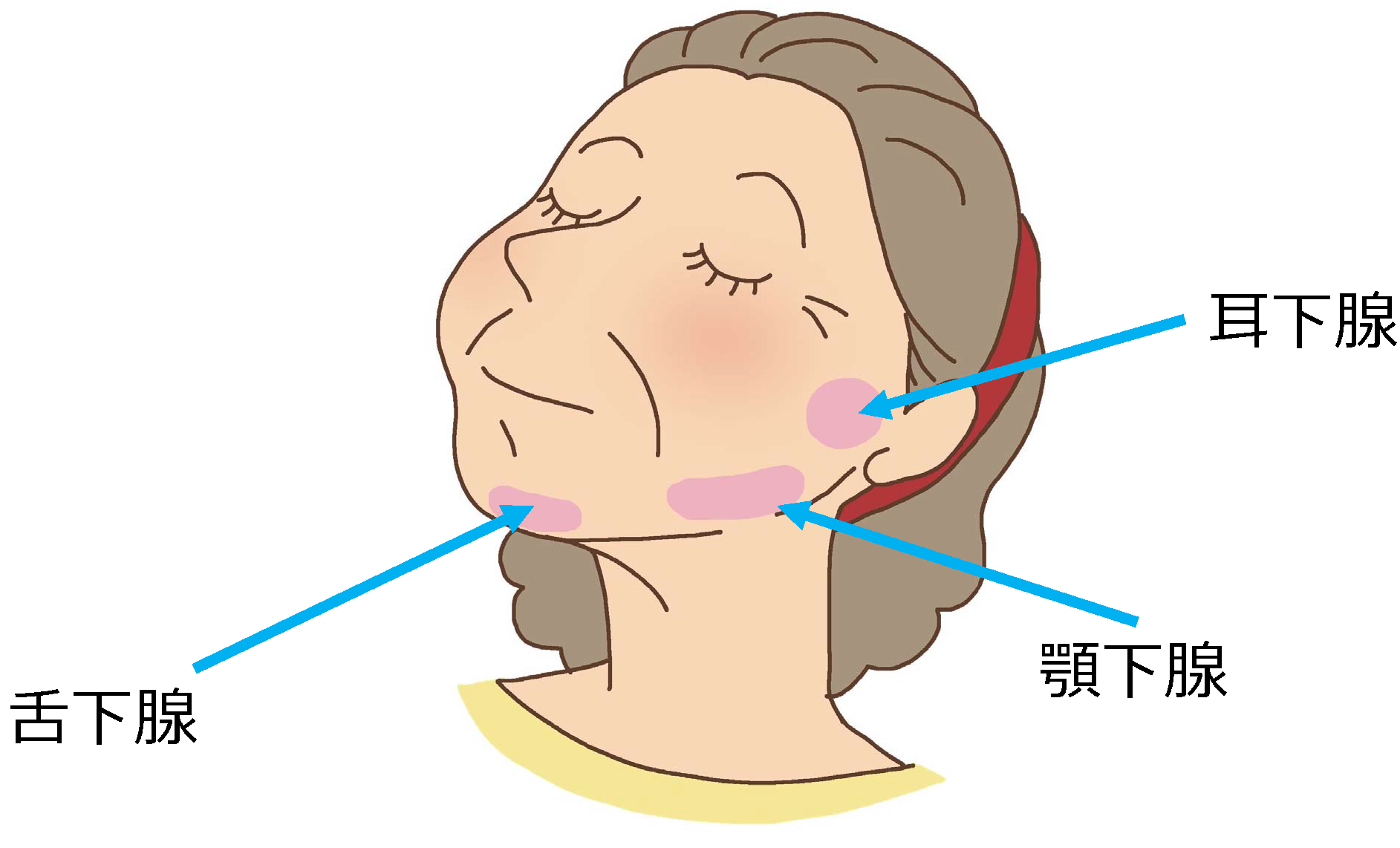 矯正歯科