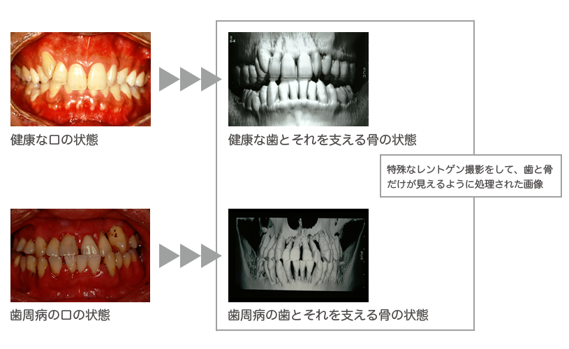 一般歯科